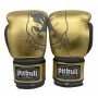 Guantoni Boxe Profight Oro 10 Once