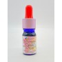 Olio essenziale Cassis - Ribes Nero Germogli assoluto 5 ml