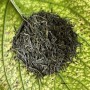 Tè verde Biologico Sencha Ayame 50 gr