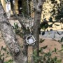 Collana con ciondolo genesa in acciaio inossidabile e Pietra Luna