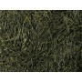 Tè verde Gyokuro Kirishima BIO 2023