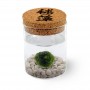 Marimo Original Sughero Ideogramma “Marimo” – Singolo (Fondale Bianco)