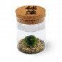 Marimo Original Sughero Ideogramma “Marimo” – Singolo (Fondale Naturale)