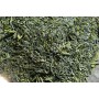 Fukamushi Sencha – Hoshitea