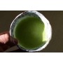 JAS Matcha BIO 40 gr