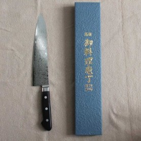 Tsunehisa Gyuto 210 Damascus Aus-10