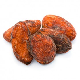 Natura d'Oriente | Fave Di Cacao Crude Bio
