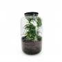 Terrarium chiuso Black Lava