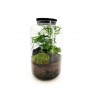 Terrarium chiuso Black Lava