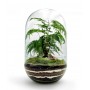 Terrarium chiuso capsule