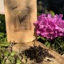 Tè Oolong Biologico Gardenia - 50 g