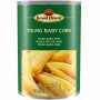 ROYAL ORIENT Baby Corn 425g