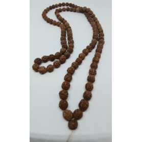 Mala 108 grani in RUDRAKSHA natural 10mm