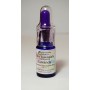 Olio Essenziale Lavanda 10 ml