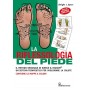 La riflessologia del piede