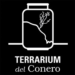 Terrarium Del Conero