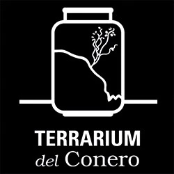 Terrarium Del Conero