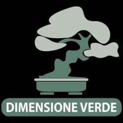 DIMENSIONE VERDE SRLS