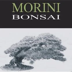 MORINI BONSAI